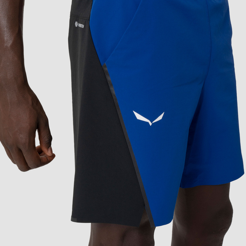 Salewa Herren Pedroc DST Wo Shorts