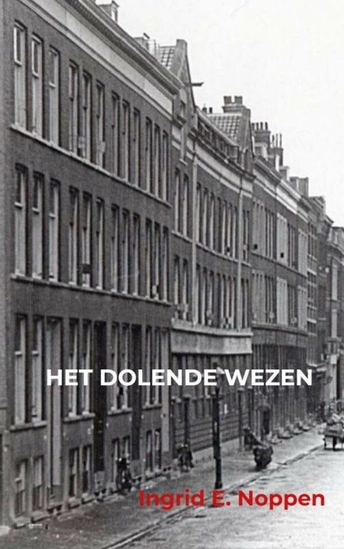 Boek - Verlangen Naar Herinneringen - Ilse van Maarsen