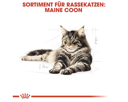 ROYAL CANIN Maine Coon Adult natvoer voor katten in saus, 85 g