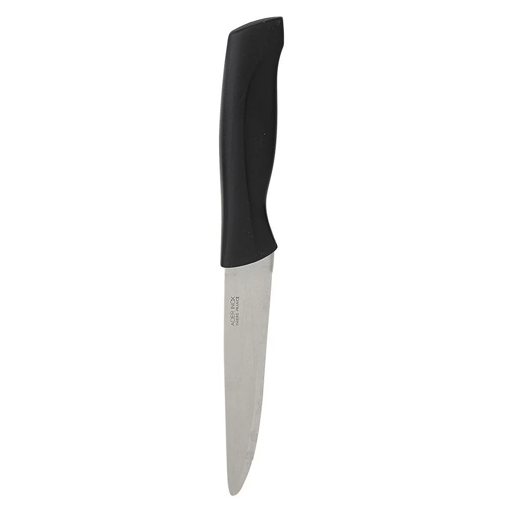 Couteau à steack lame inox 24,5 cm