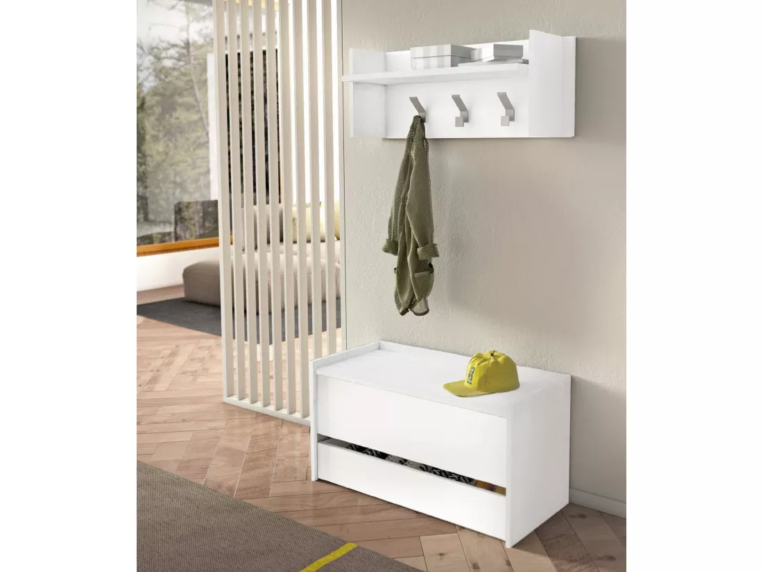 Commode Dgaiard, Meuble d'entrée moderne avec étagère à chaussures, Coffre avec deux conteneurs, 100% Made in Italy, 90x40h46 cm, Blanc