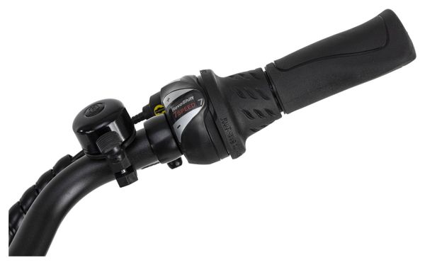 Vélo électrique homme aluminium Adore Versailles 28  E-Bike noir 250 Watt Li-Ion 36 V/10 4 Ah 7 vitesses
