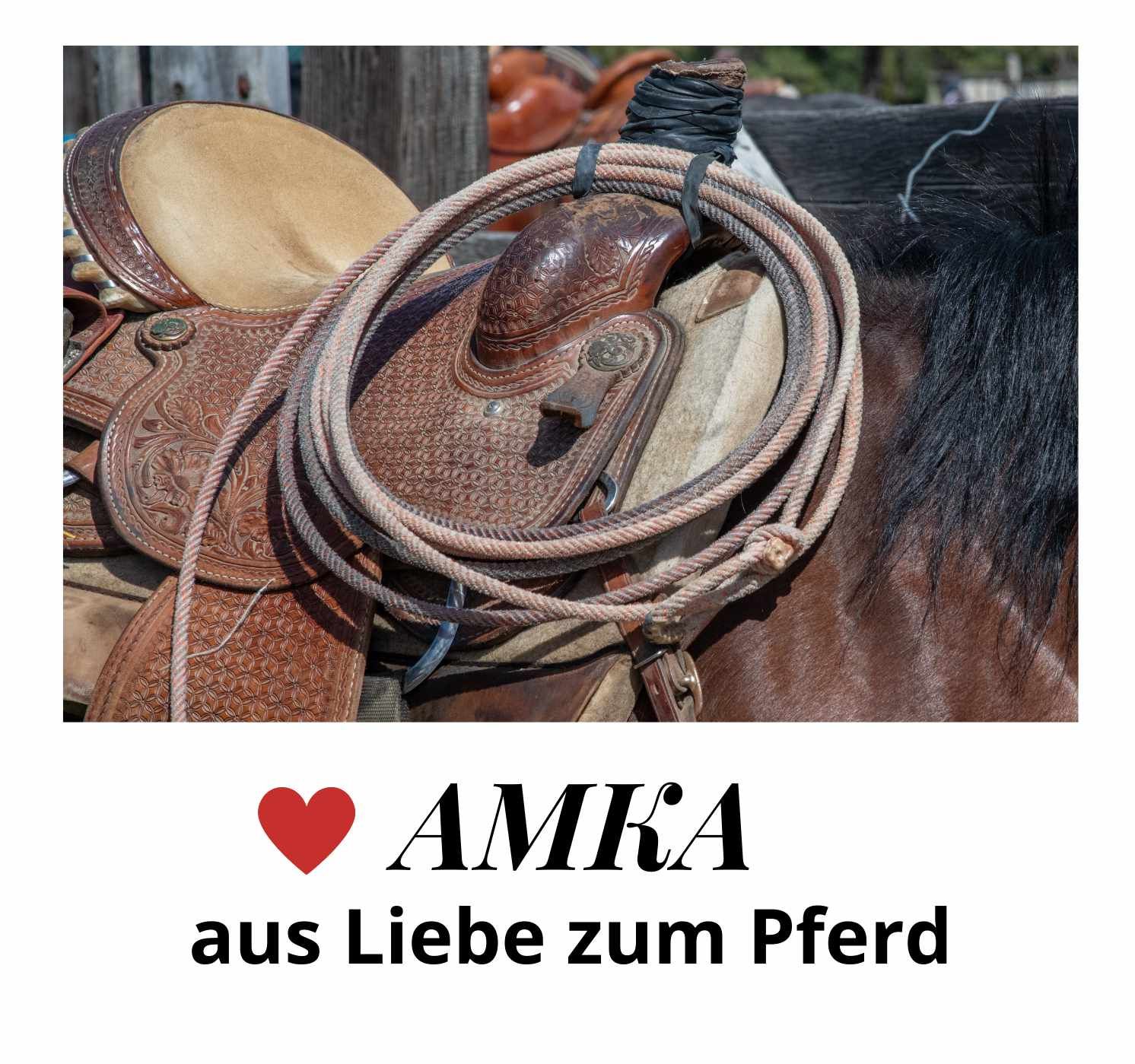 Western Bit  Bit  Westernbit Westerngebiss mit gedrehten Shanks, 12,5 cm
