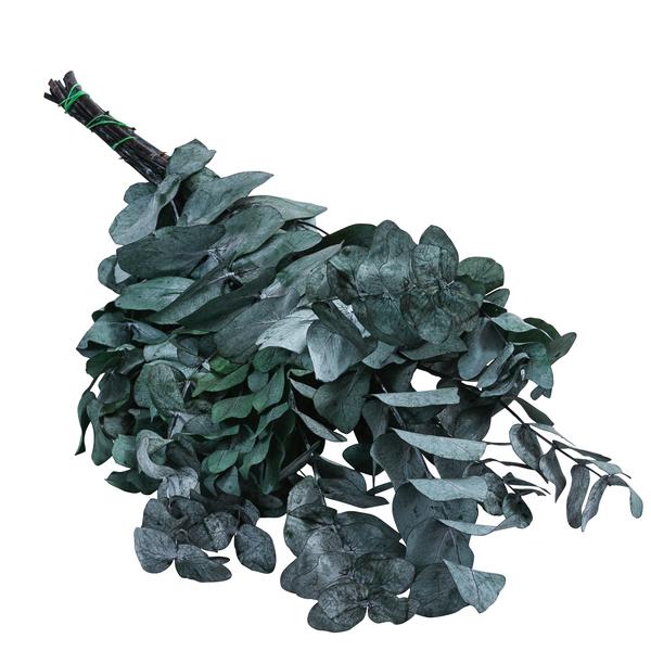 Trockenblumenbund Eukalyptus, dunkelgrün