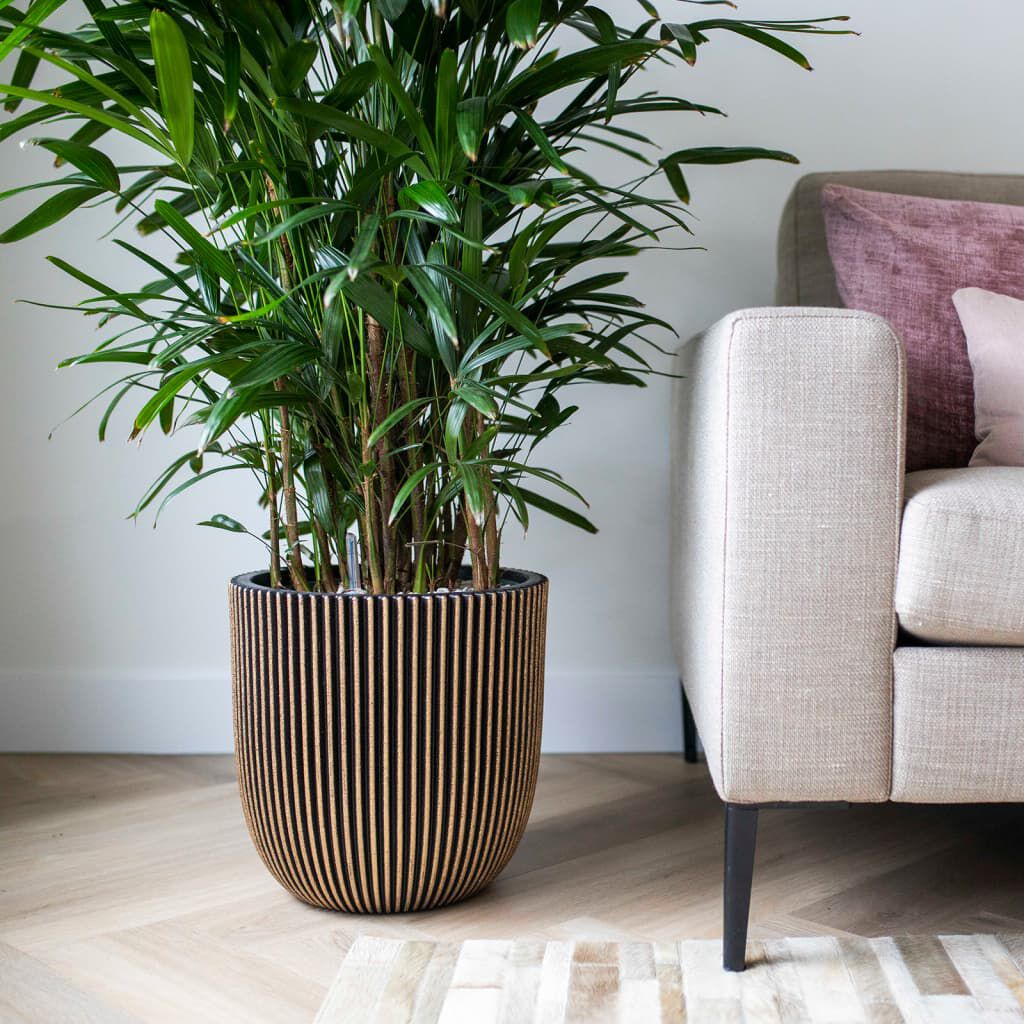 Capi Groove Plantenbak, 43x41 cm, zwart en goud
