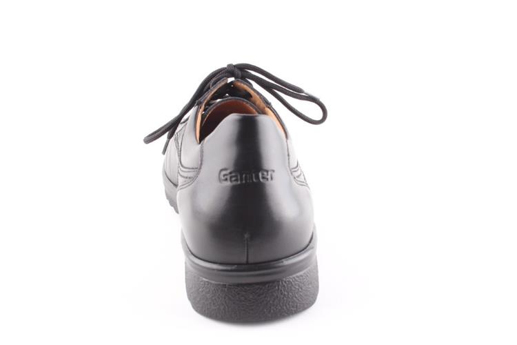 Ganter 2-256001 schwarz