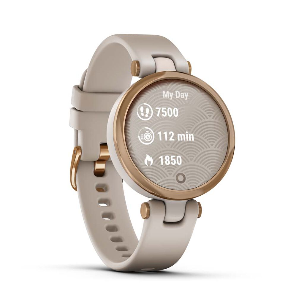 Montre Connectée Garmin Lily