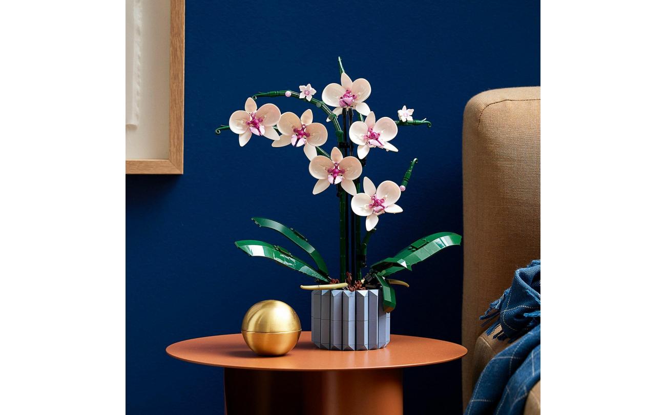 LEGO 10311 Botanicals Orchidee