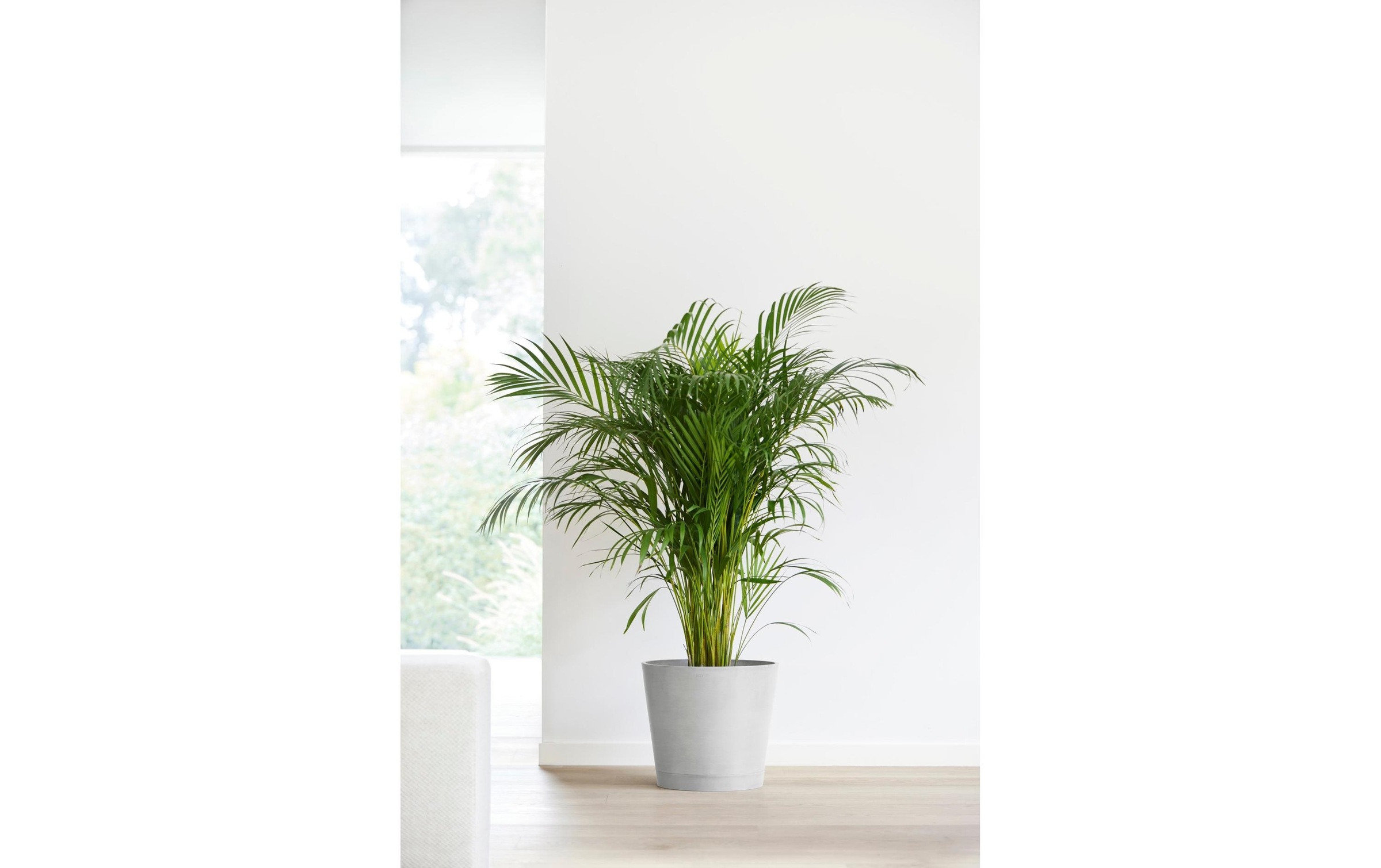 ECOPOTS Pflanzkübel »Venice 40«
