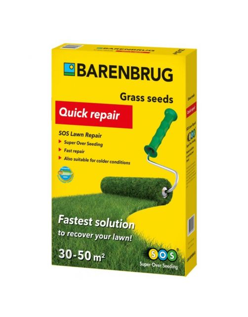 Barenbrug Graszaad Herstel 50 M2 - Graszaden - 1 kg
