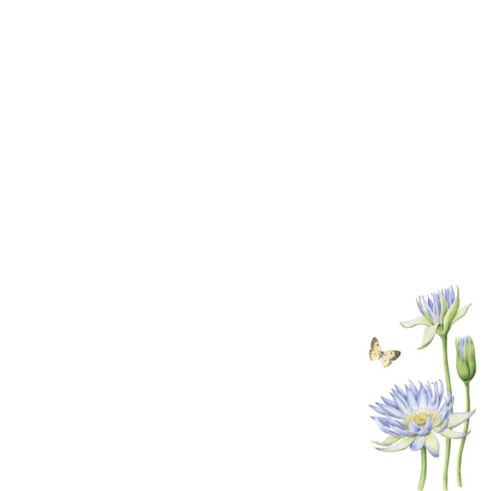 Zomaar | Janneke Brinkman | Bloemen