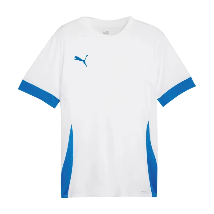 Puma TeamGOAL Matchday Shirt Heren