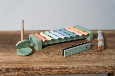 Dantoy Musikksett Wooden In Gift Box