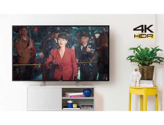 PANASONIC - TV LED 4K 123 cm TX-49EX600E
