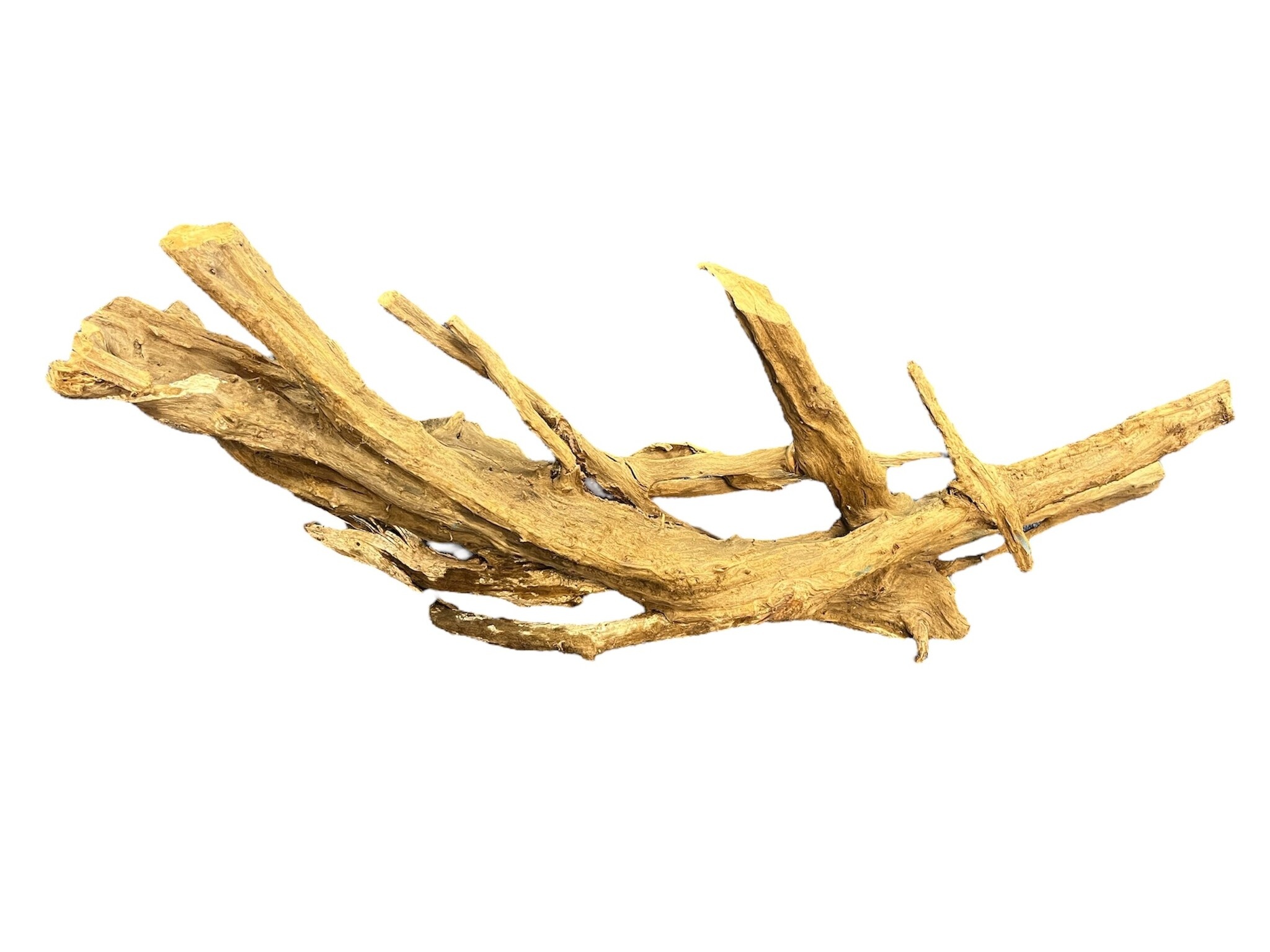 AQXL Selected Mangrovehout XL NR02 90-120cm