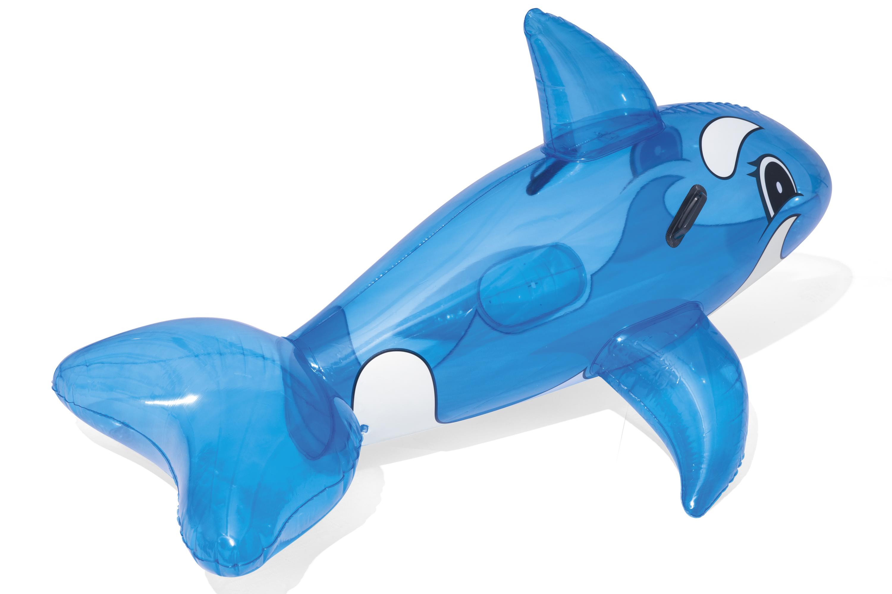 Schwimmtier Wal