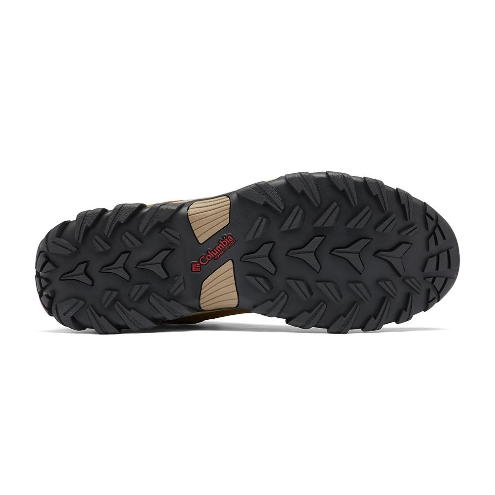Columbia NEWTON RIDGE PLUS II WATERPROOF - Chaussures randonné Homme brown
