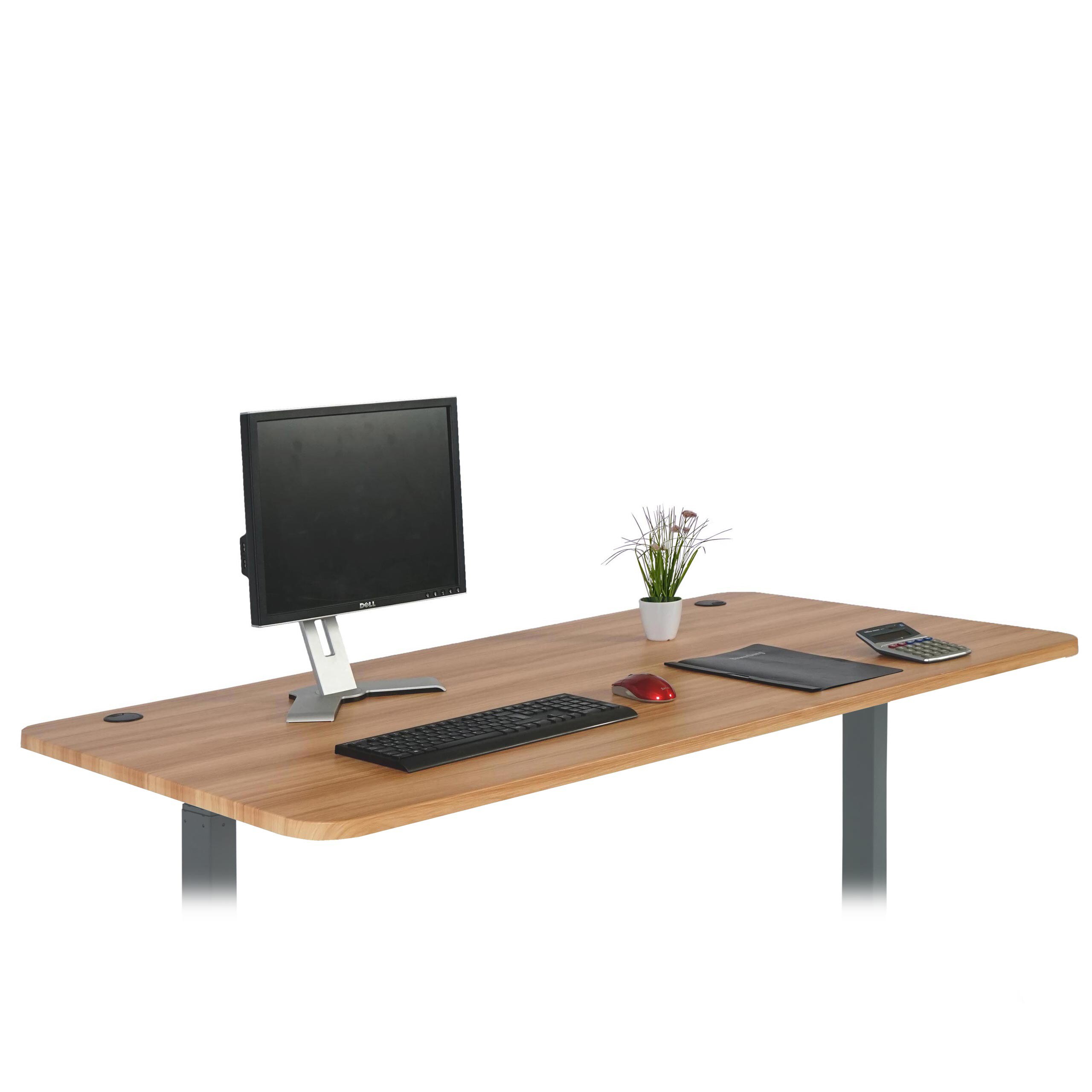 Tischplatte MCW-D40 für Schreibtische, Schreibtischplatte, 160x80cm MVG-zertifiziert ~ eichefarben