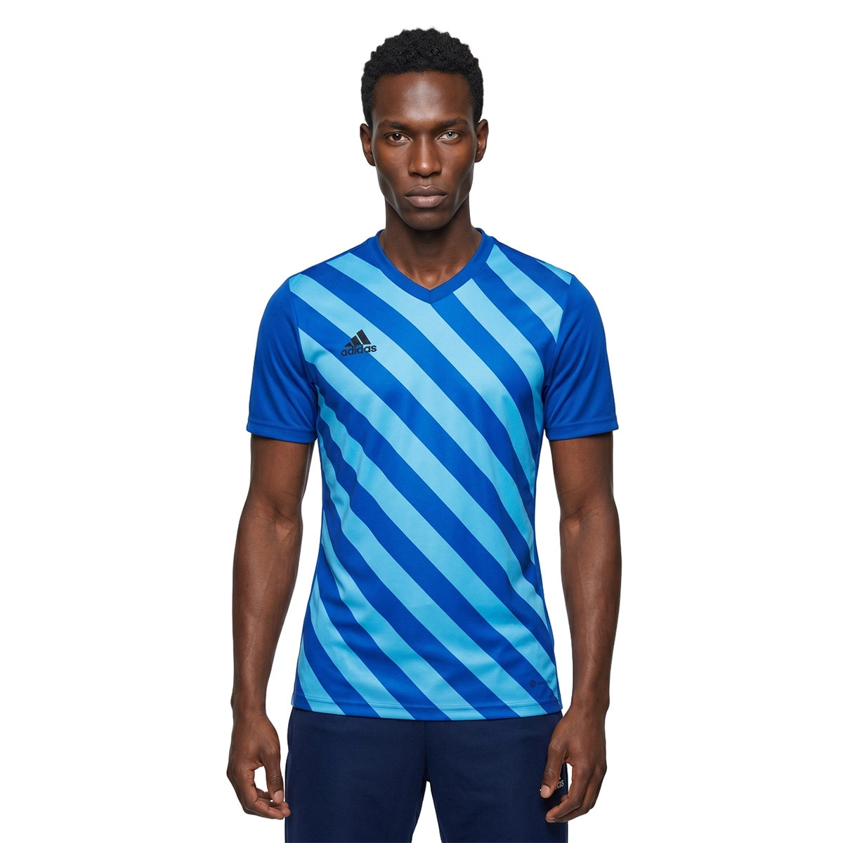 Camisola adidas Entrada 22 GFX m/c
