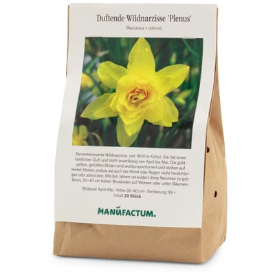 Blumenzwiebeln Duftende Wildnarzisse 'Plenus'