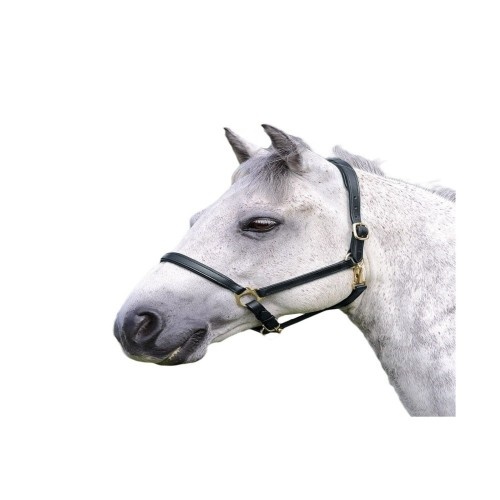 Cabeçada Blenheim Ragley Havana em couro para cavalos