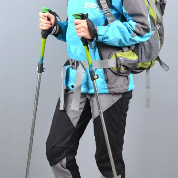 (2er Set) Faltbarer Aluminium Trekking Wanderstock Nordic Walking Stock Verstellbar mit Transporttasche - Blau / Silber