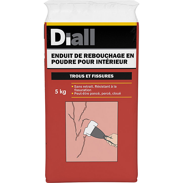 Enduit de rebouchage en poudre Diall 5kg