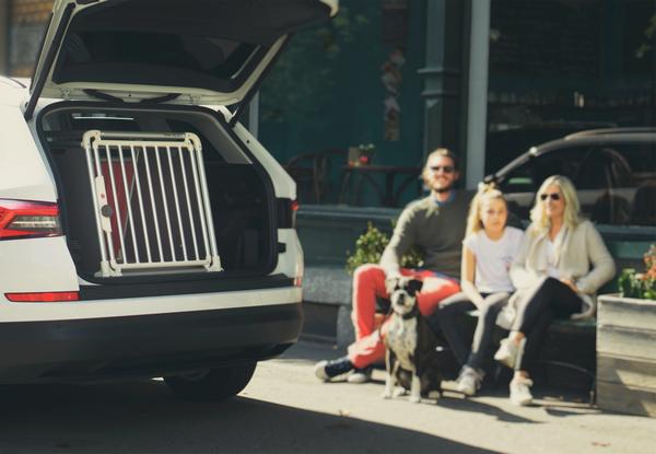 4pets® Hundetransportbox ECO Line 3