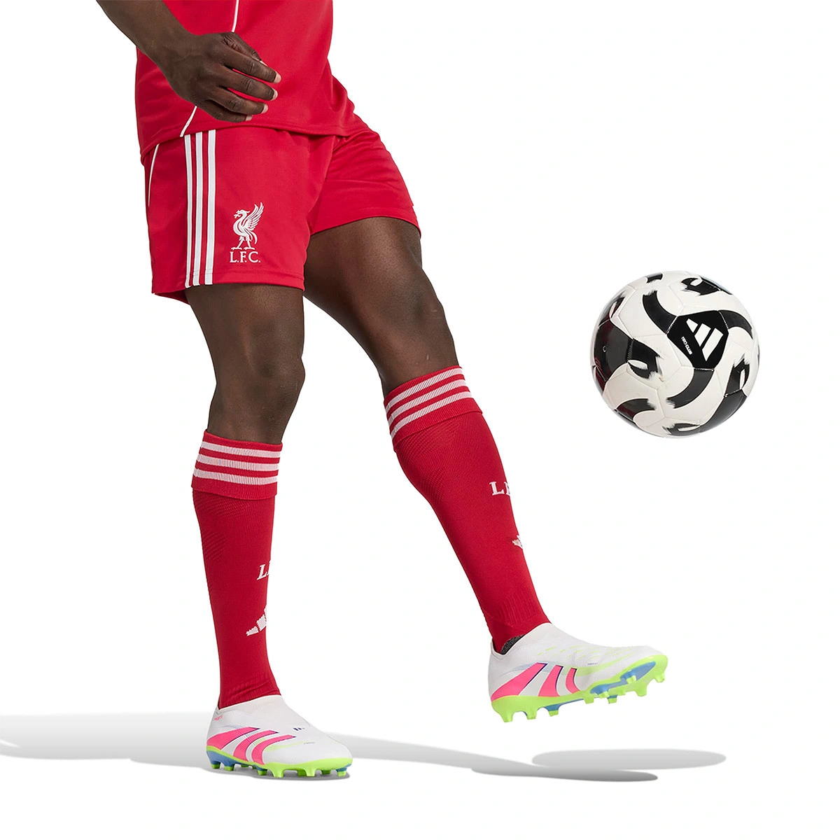 Calções adidas Liverpool FC Primeiro Equipamento 2025-2026