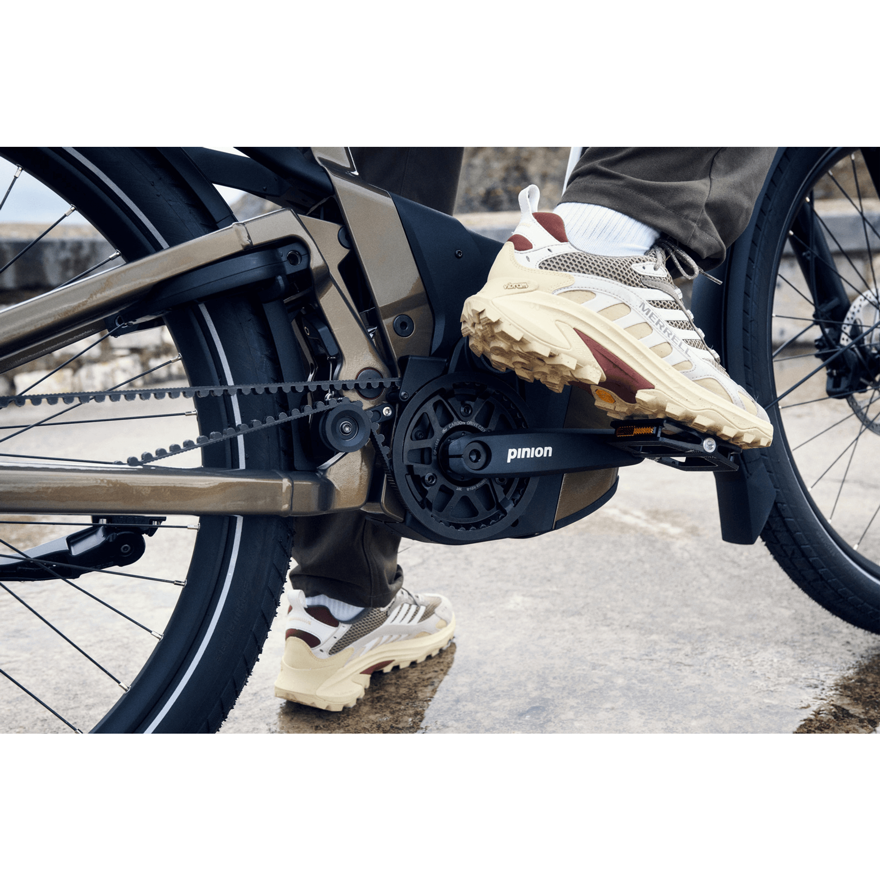 Riese & Müller Delite5 GT Pinion 2025 Demo