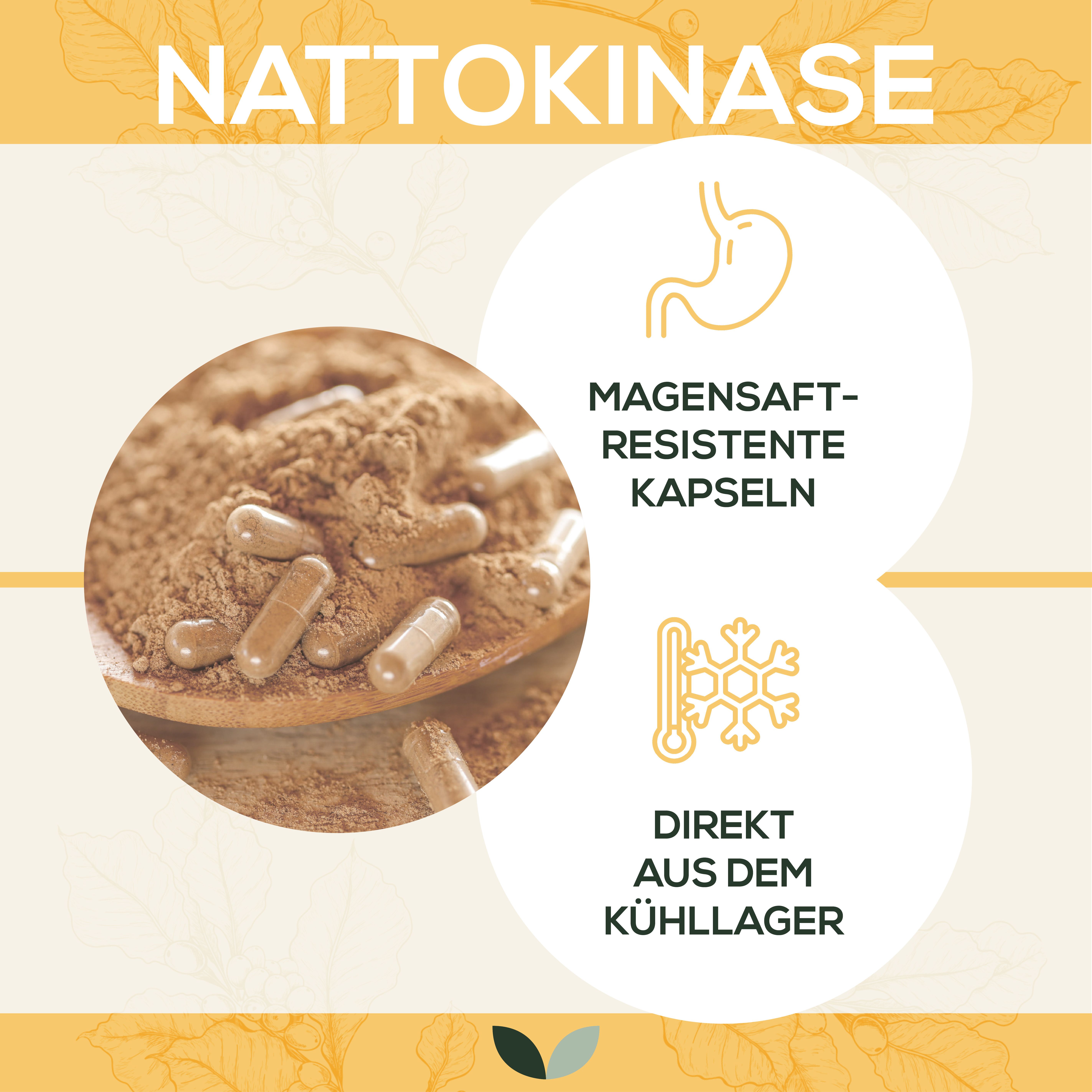 Sanutrition® - Nattokinase 100 mg