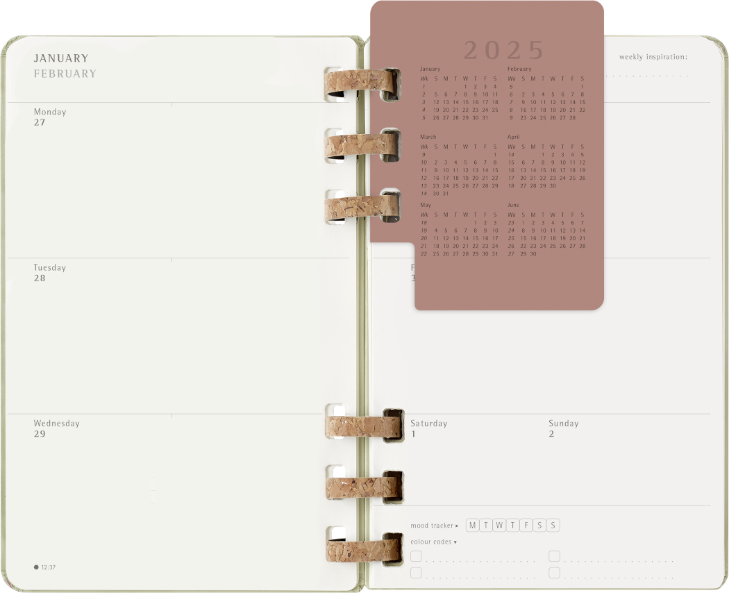 Life Planner 2025 L 12-Month, Spiral