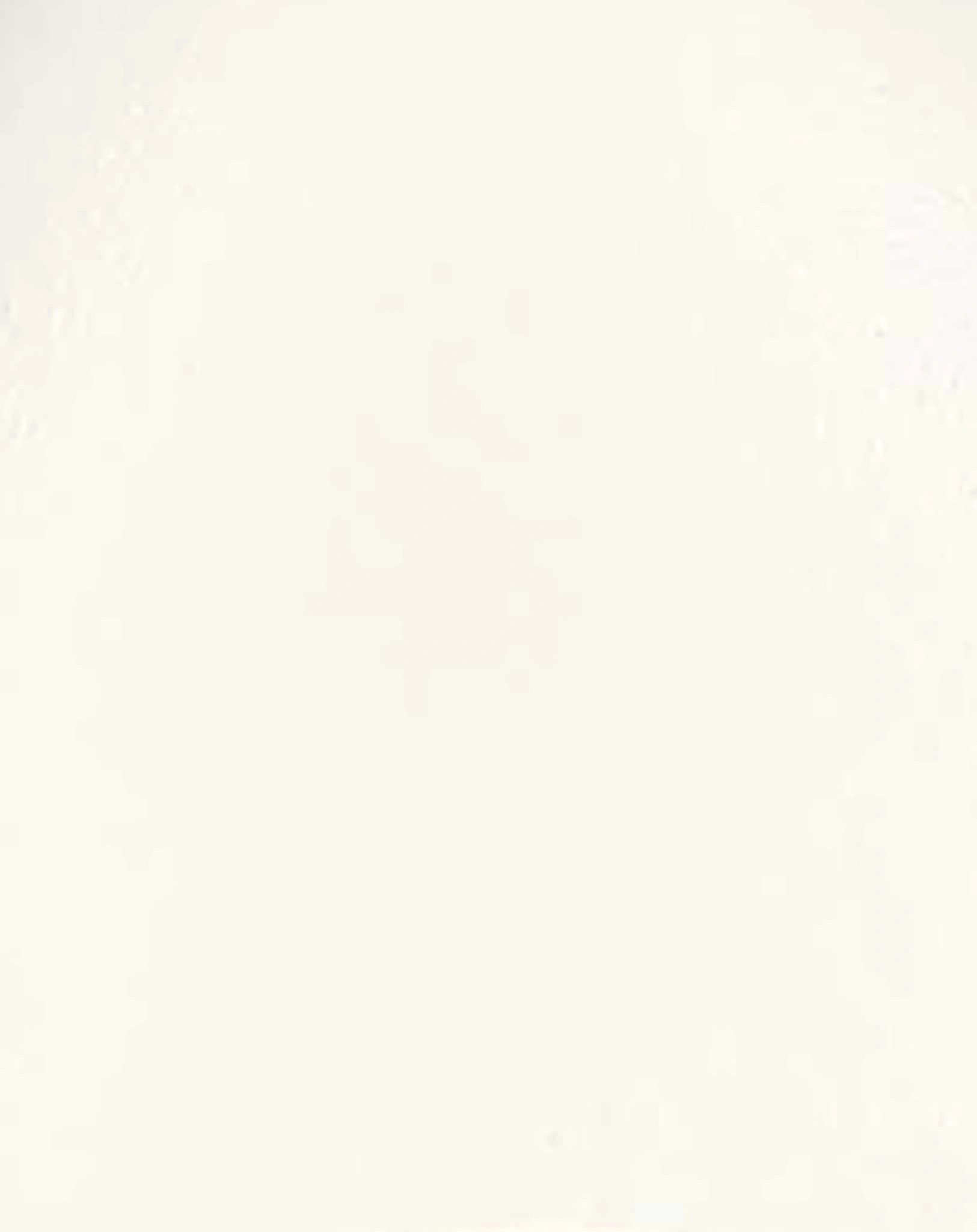 Ballerinas DAMA in cream