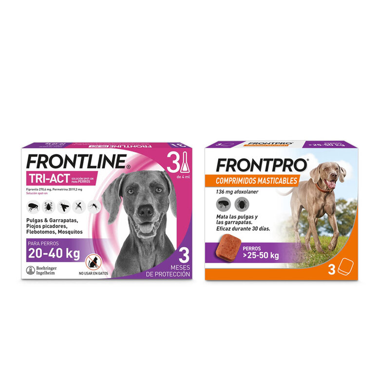 Kit com pipetas Frontline Tri-Act + comprimidos mastigáveis Frontpro para cães de grande porte.