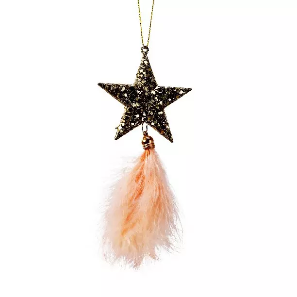 Etoile de Noël à suspendre (H20 cm) Baki Champagne