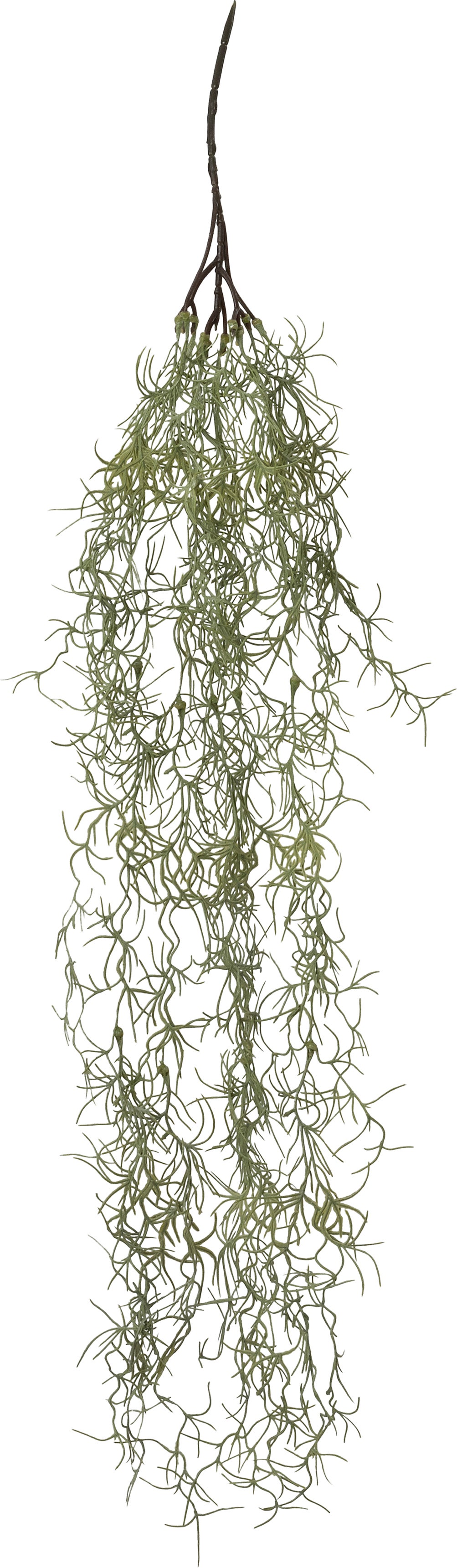 Intratuin kunsthangplant Tillandsia groen 15 x 20 x 90 cm