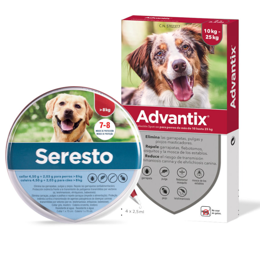 Coleira antipulgas e carrapatos Seresto para cães com menos de 8 kg e pipetas Advantix para cães de 0 a 4 kg.