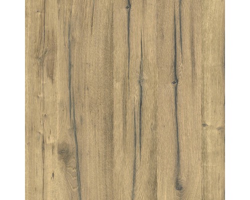 SCHULTE DecoDesign ExpressPlus douchewandpaneel, houtlook, Zwarte Woud eiken licht, 255 x 100 cm, EP1901025 621