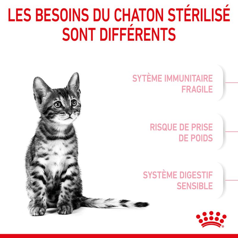 Royal Canin Kitten Sterilised - Croquettes chaton | Bitiba