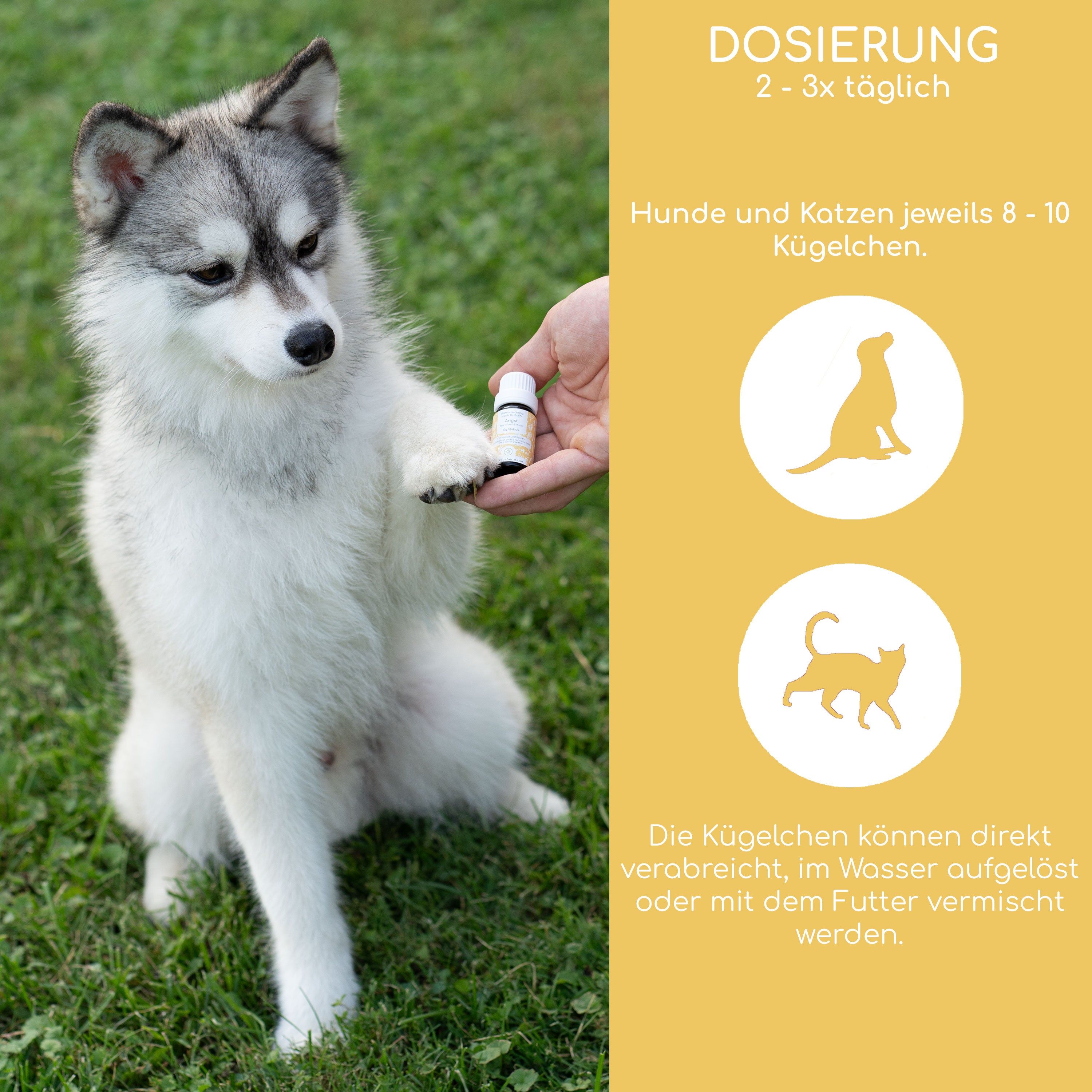 Wolfsbacher Natur Bachblüten Angst