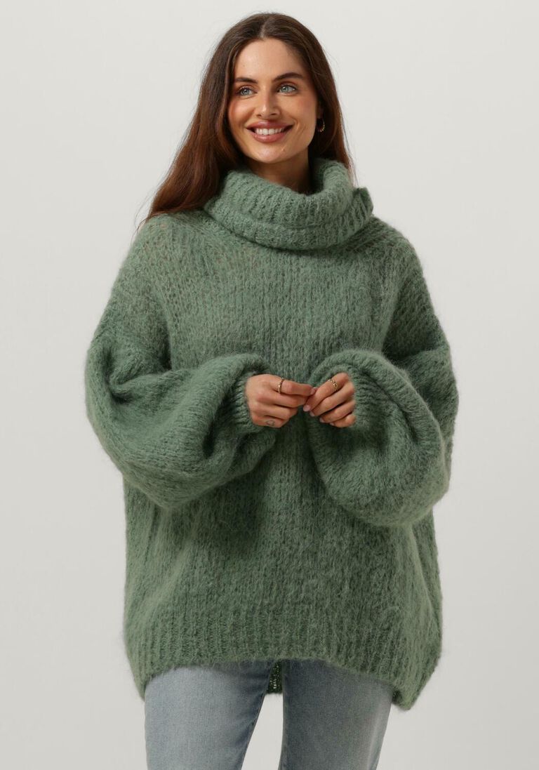 AMERICAN DREAMS groene american dreams coltrui pepper roll neck alpaca pullover