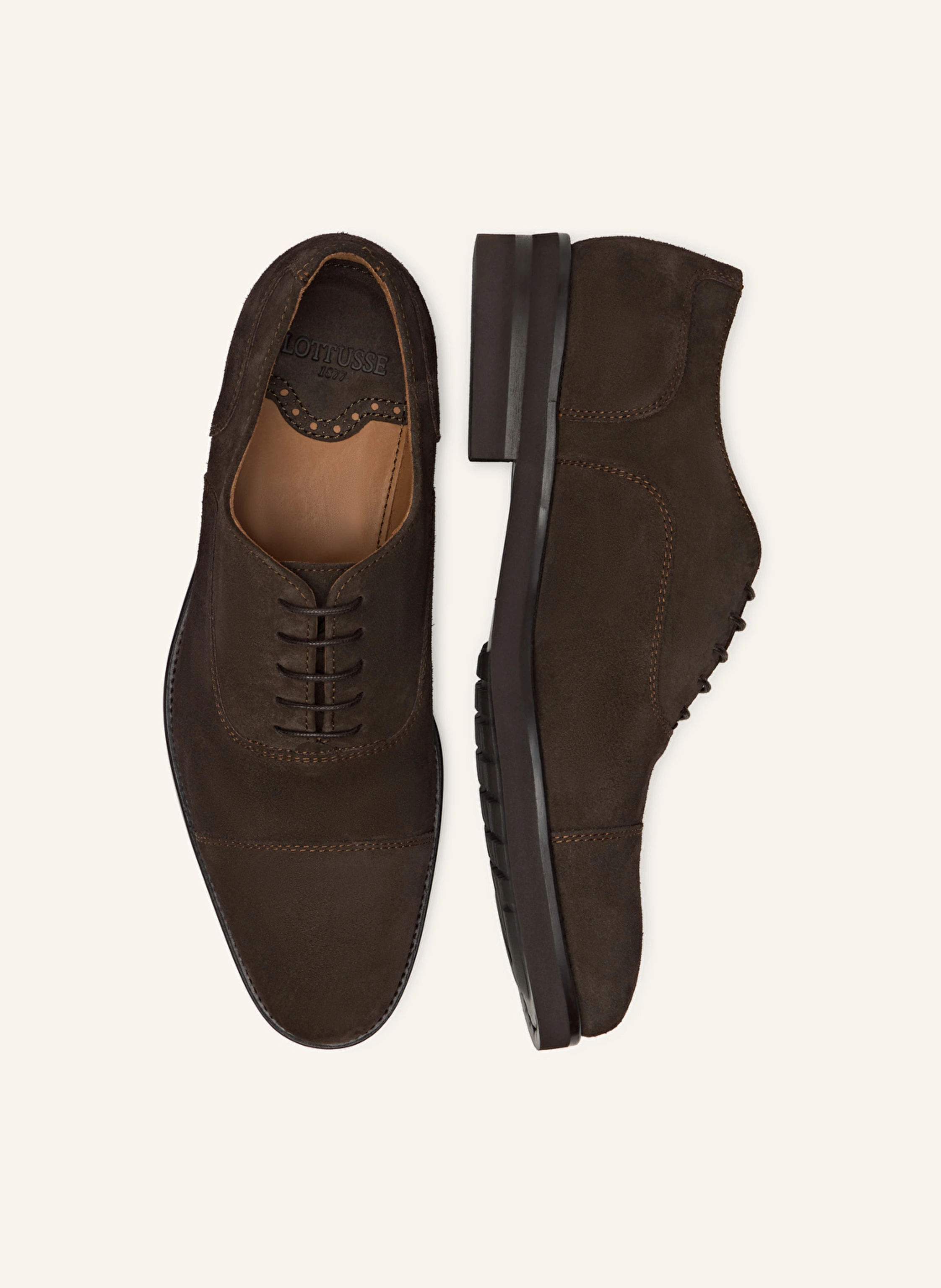 LOTTUSSE Oxford HOLBORN