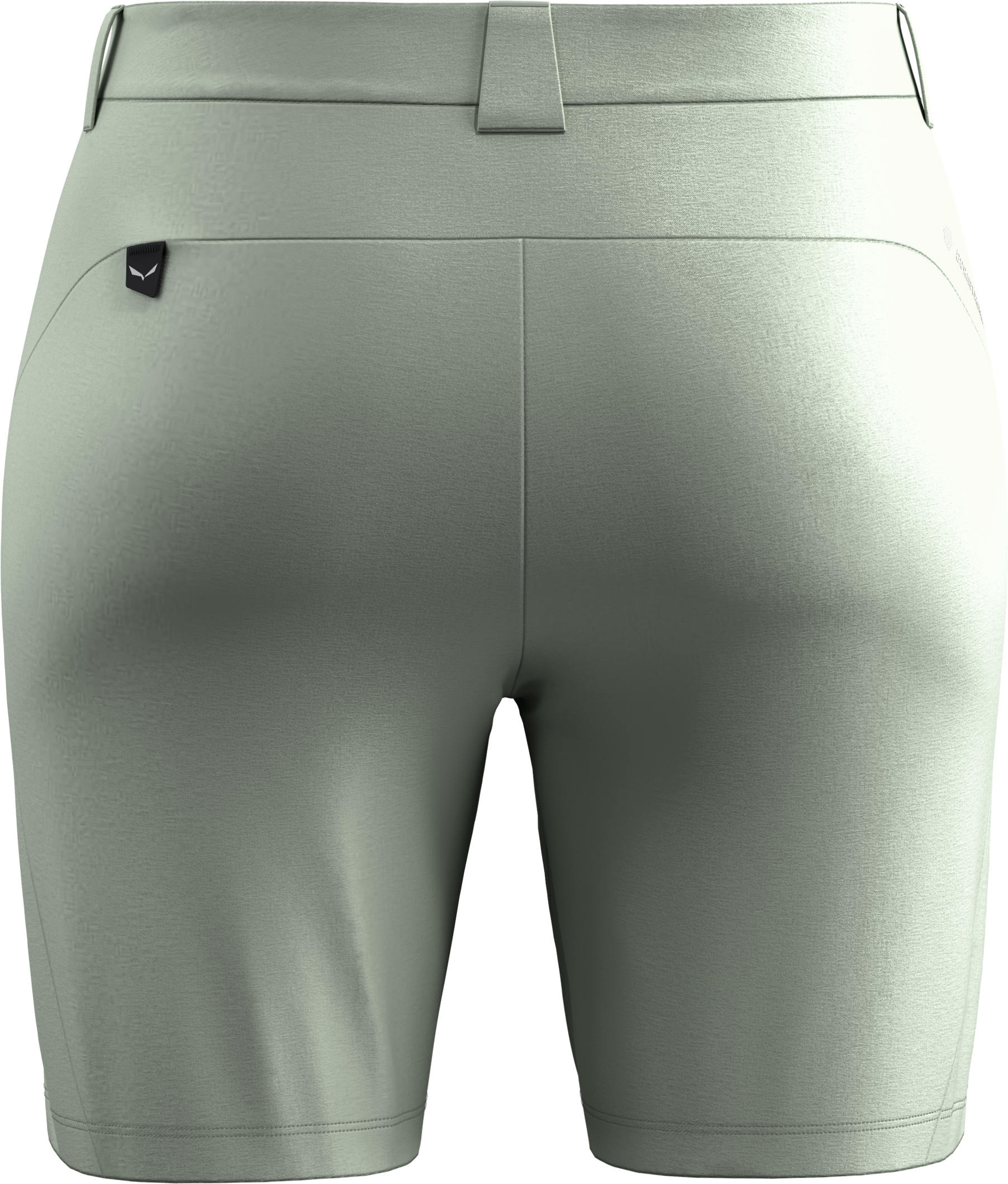 Salewa Puez Talvena Dst Shorts W's