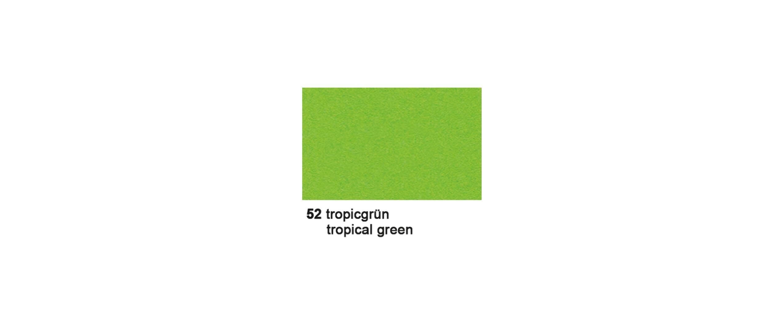 Fotokarton 50 x 70 cm TropicgrünVielseitig verwendbarer Fotokarton