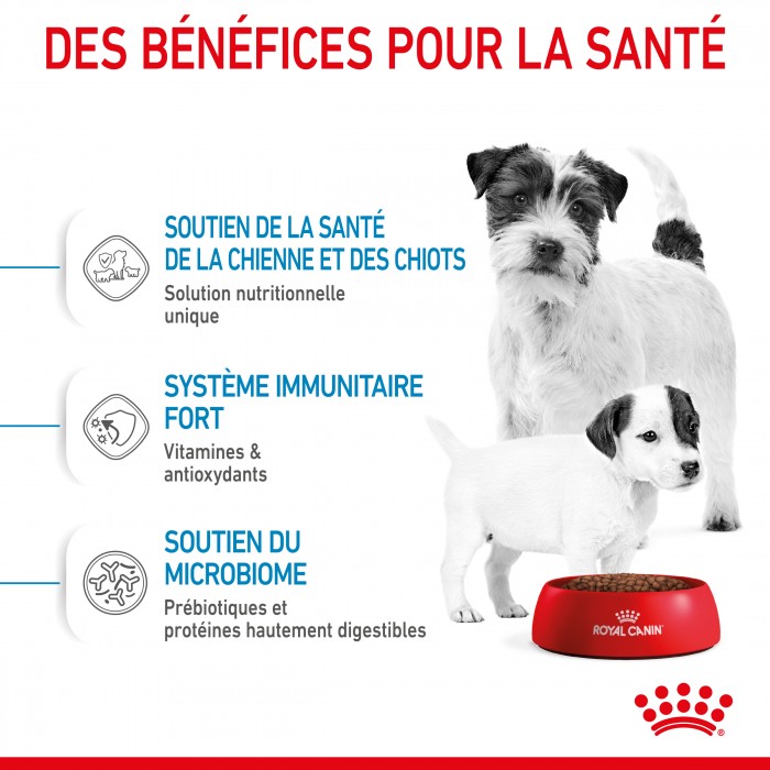 ROYAL CANIN Starter Mini Mother & Babydog - Croquettes pour chiot