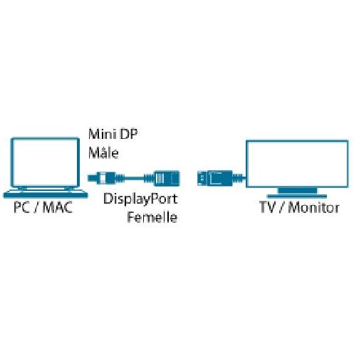 MCL MC396-0.15M câble DisplayPort 0,15 m Mini DisplayPort Noir