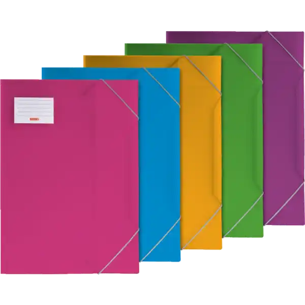 Sammelmappe Fact! A4 PP-Folie farbig sortiert