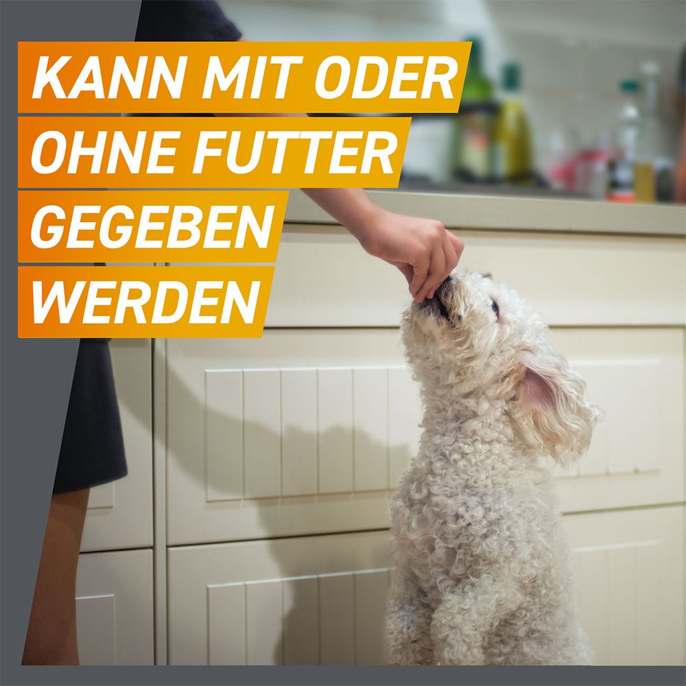 FRONTPRO® Kautablette gegen Zecken und Flöhe für Hunde (>25-50kg)