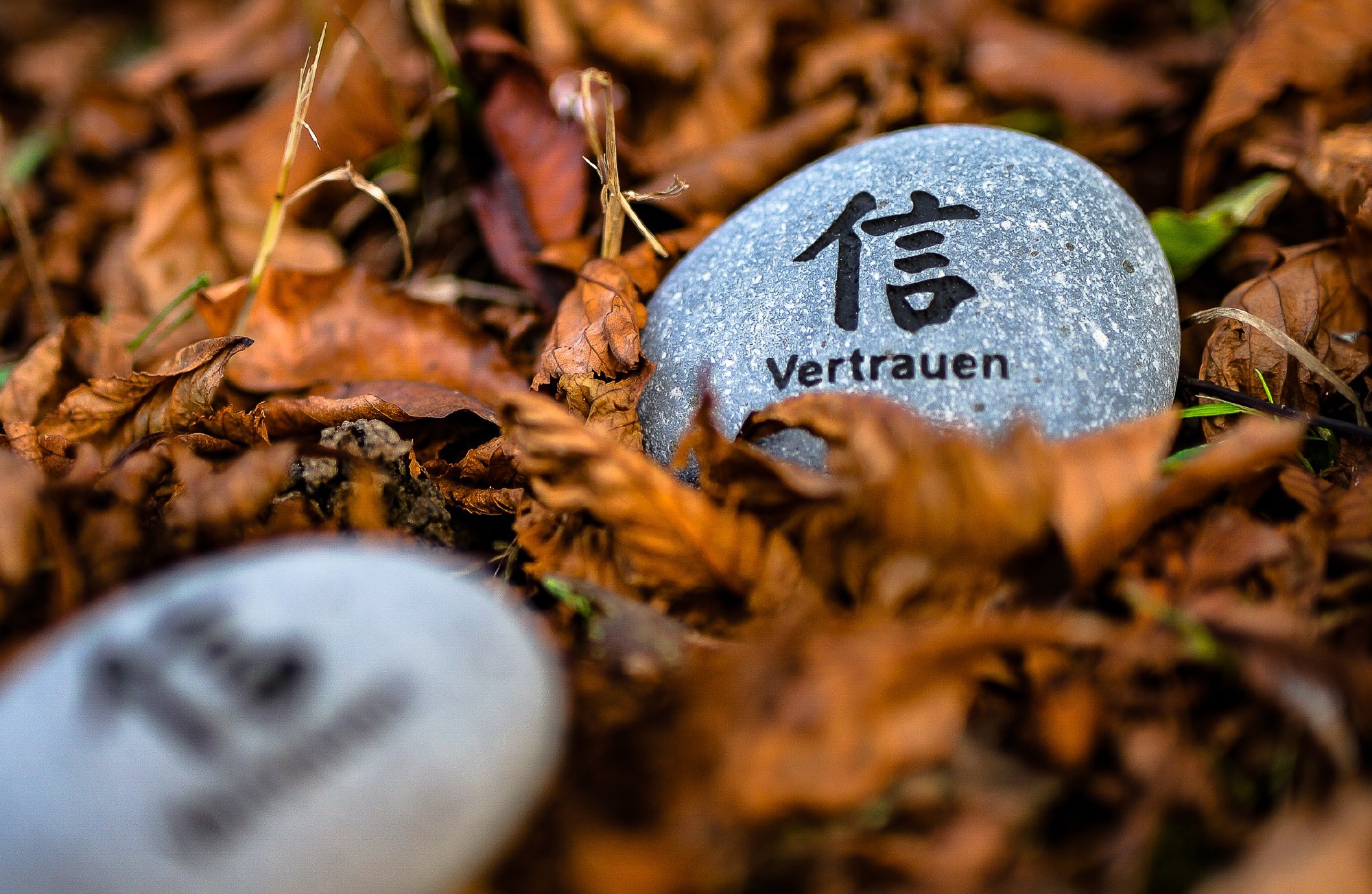 Flusskieselstein 'Vertrauen', grau, T 8 cm, B 8 cm von fischer's lagerhaus