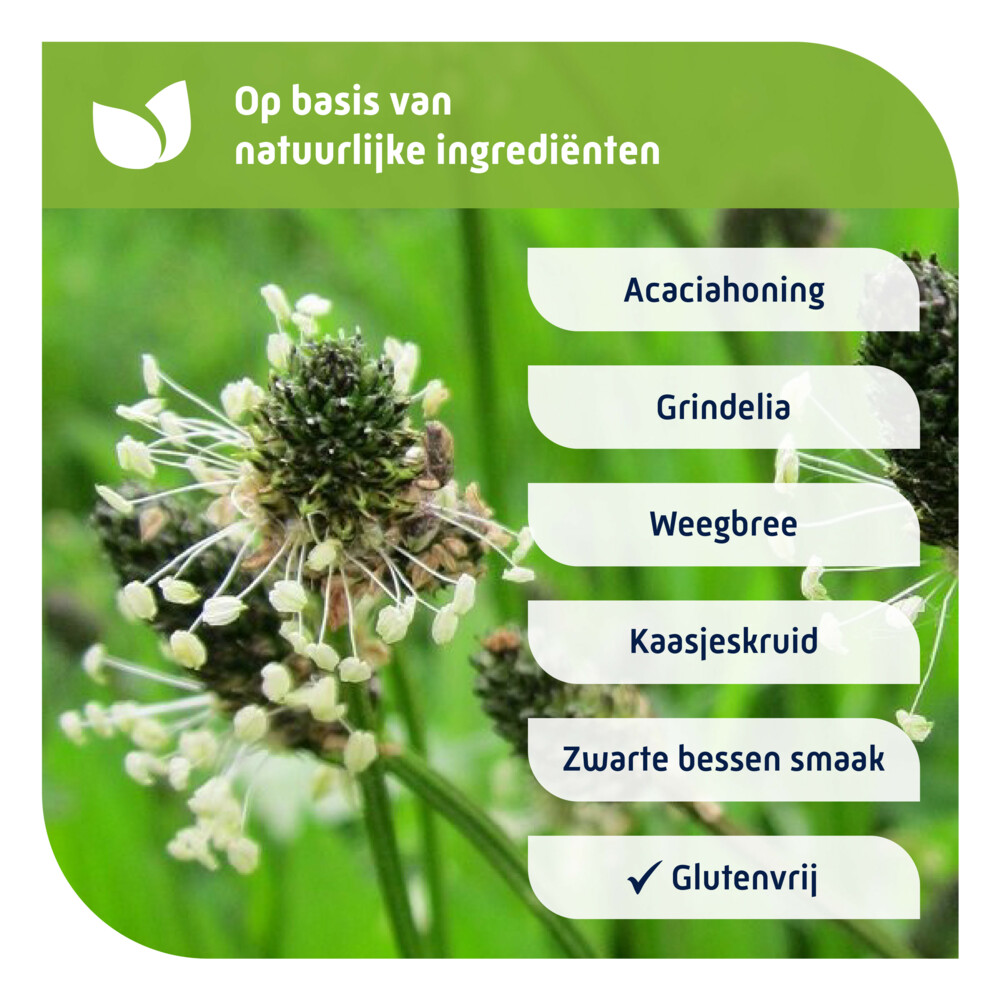 Natterman Natterman Voor Alle Hoest Kindersiroop180 ml